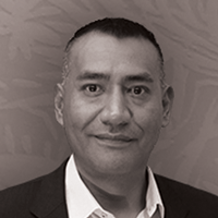 Héctor E.  Guzmán-Rodríguez